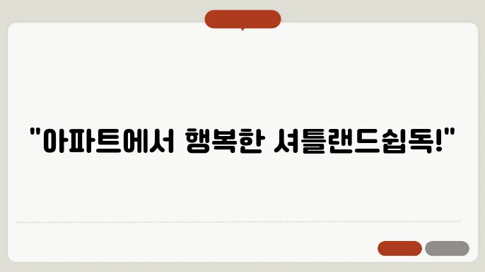 셔틀랜드쉽독 아파트에서 키우기