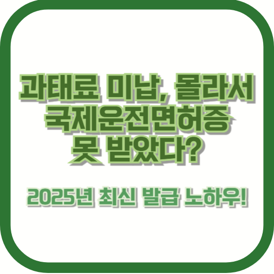 과태료 미납, 몰라서 국제운전면허증 못 받았다? 2025년 최신 발급 노하우!