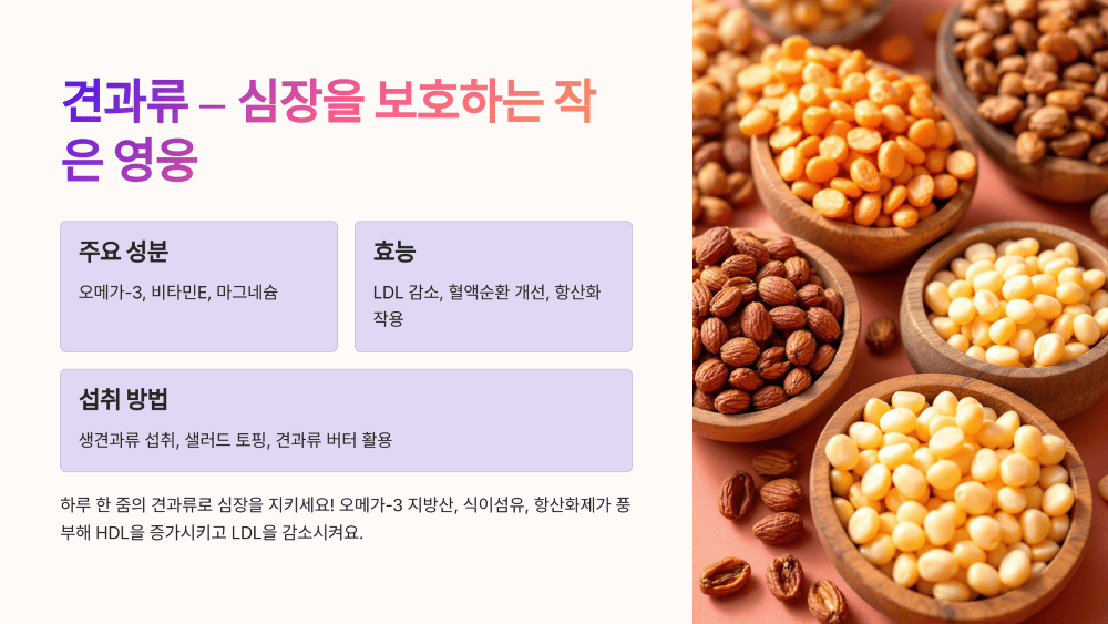 견과류 – 심장을 보호하는 작은 영웅