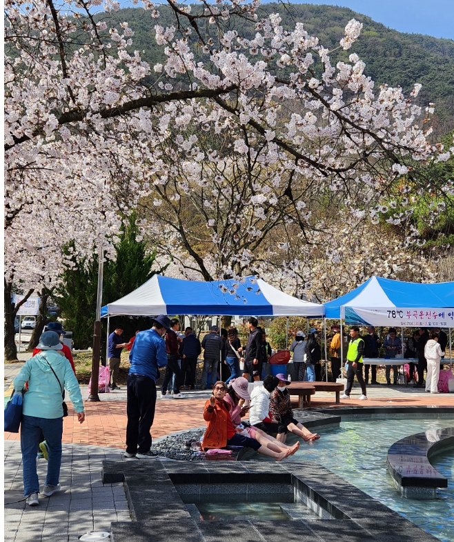 부곡온천축제 이미지7