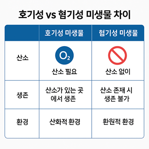 호기성 vs 혐기성 미생물 차이 관련 사진
