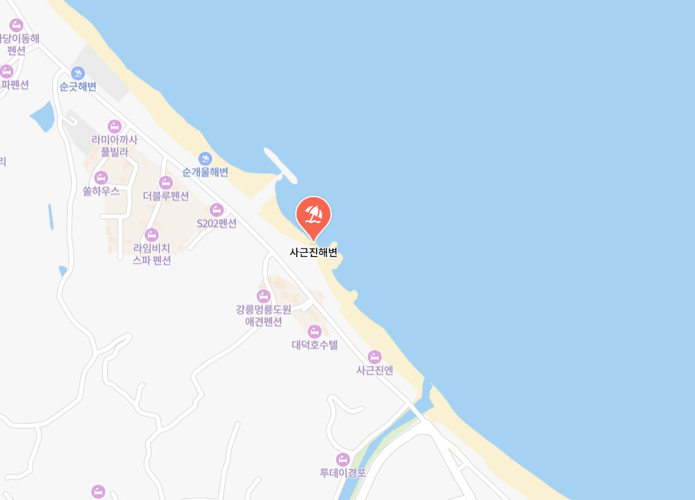 강릉 사근진 해변 유채꽃밭