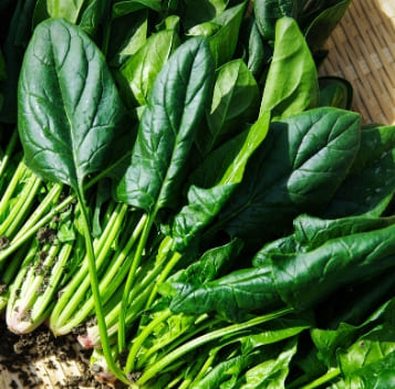 당뇨에 좋은 음식과 나쁜 음식