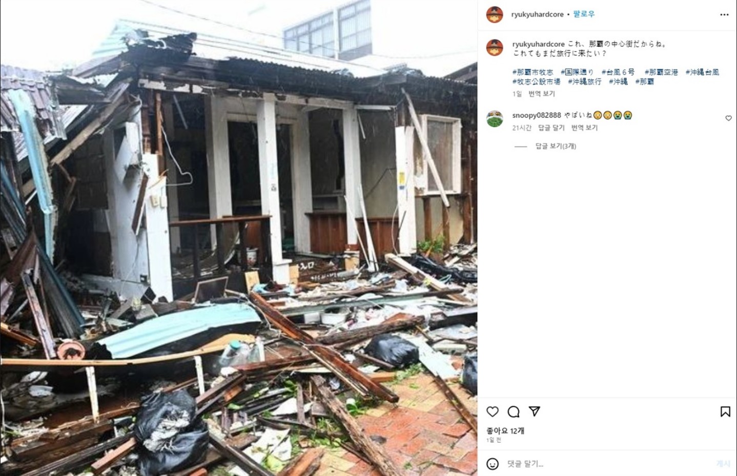 일본 피해 상황