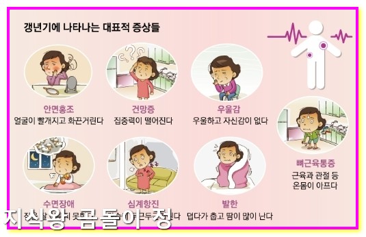 레미페민 안젤릭 크리멘 듀아비브 폐경기 증상별 맞춤 치료 가이드1