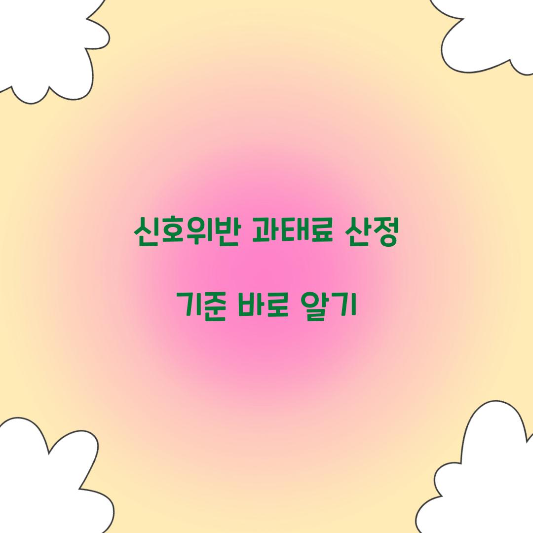 신호위반 과태료