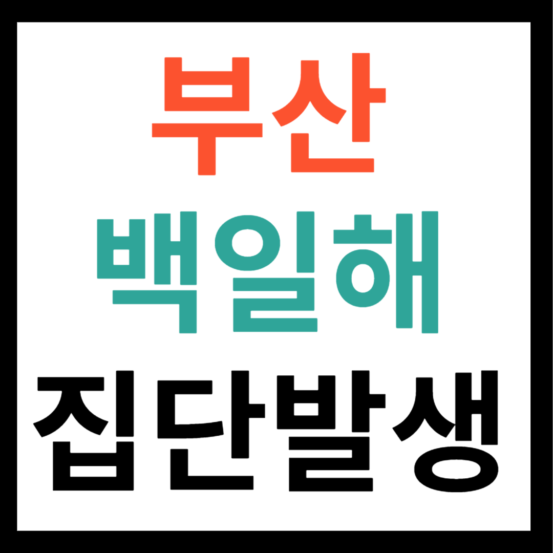 부산 백일해