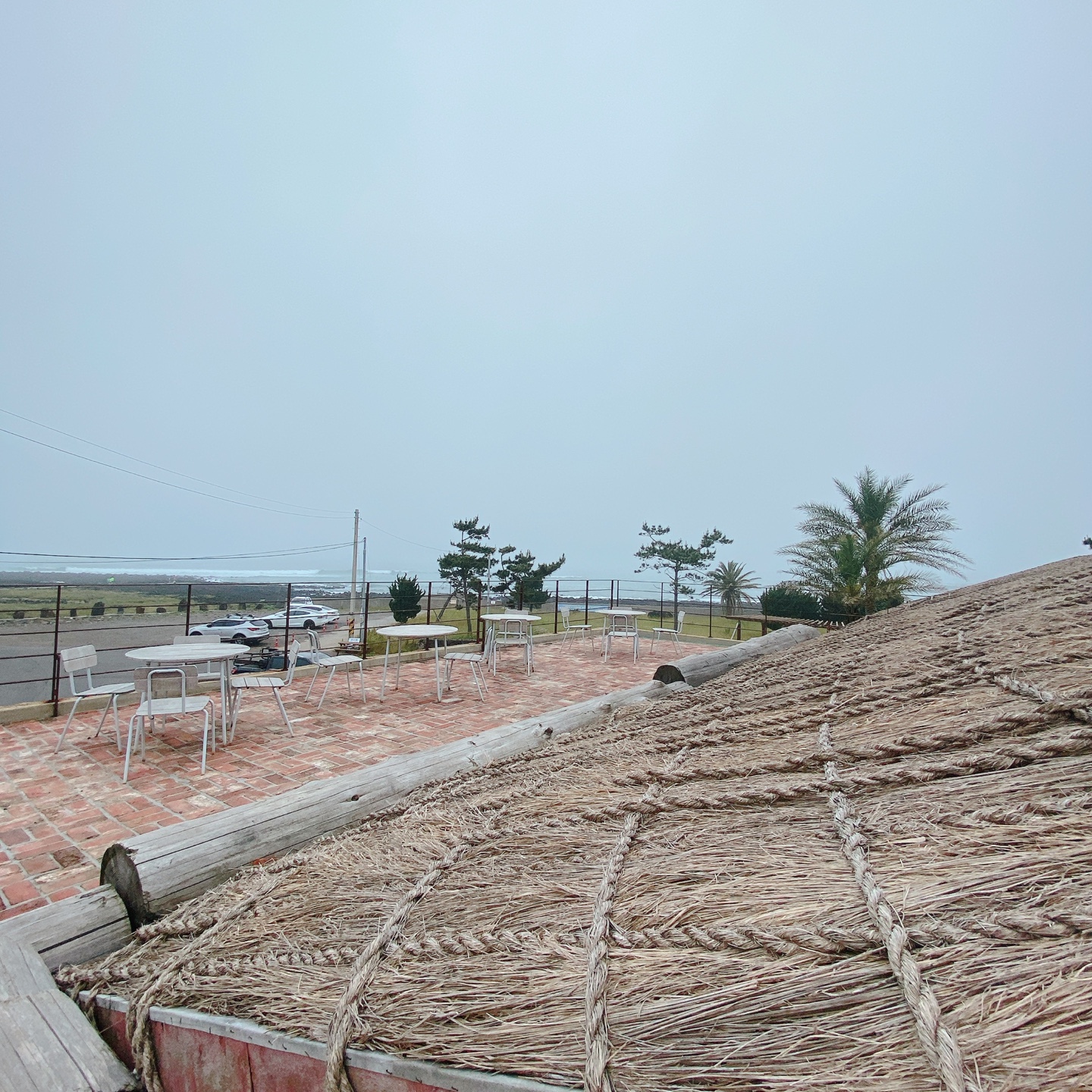제주 서귀포 대정 서림연대 인스밀 곡물창고 개조카페 in's mill 보리개역 보리 청보리 제주 특산물
