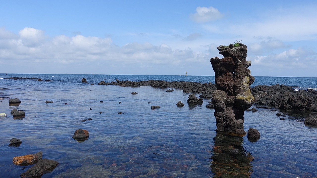 2025 제주푸드앤와인페스티벌