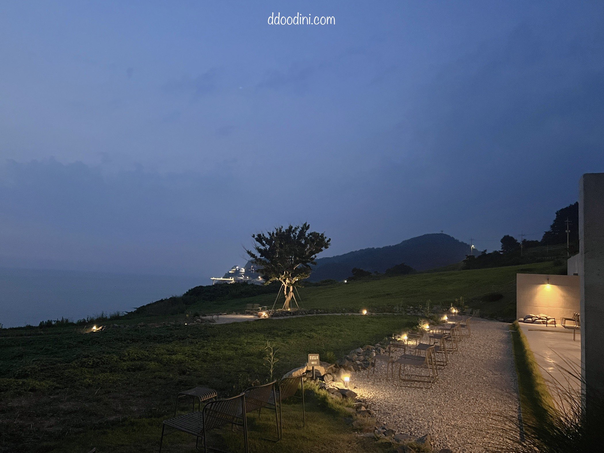 백수해안도로 보리