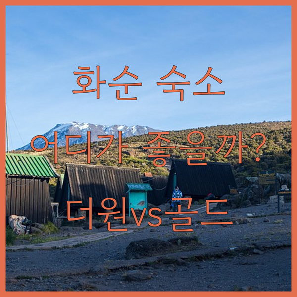 화순 숙소 고민 끝! 더원 호텔 vs..