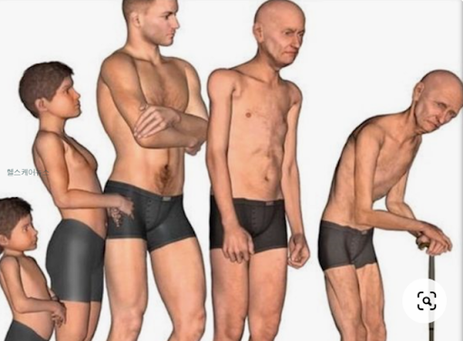 아이에서 노인으로 변하는 그림