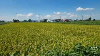 김제 가볼만한곳 베스트10 현지인 추천 필수코스_7