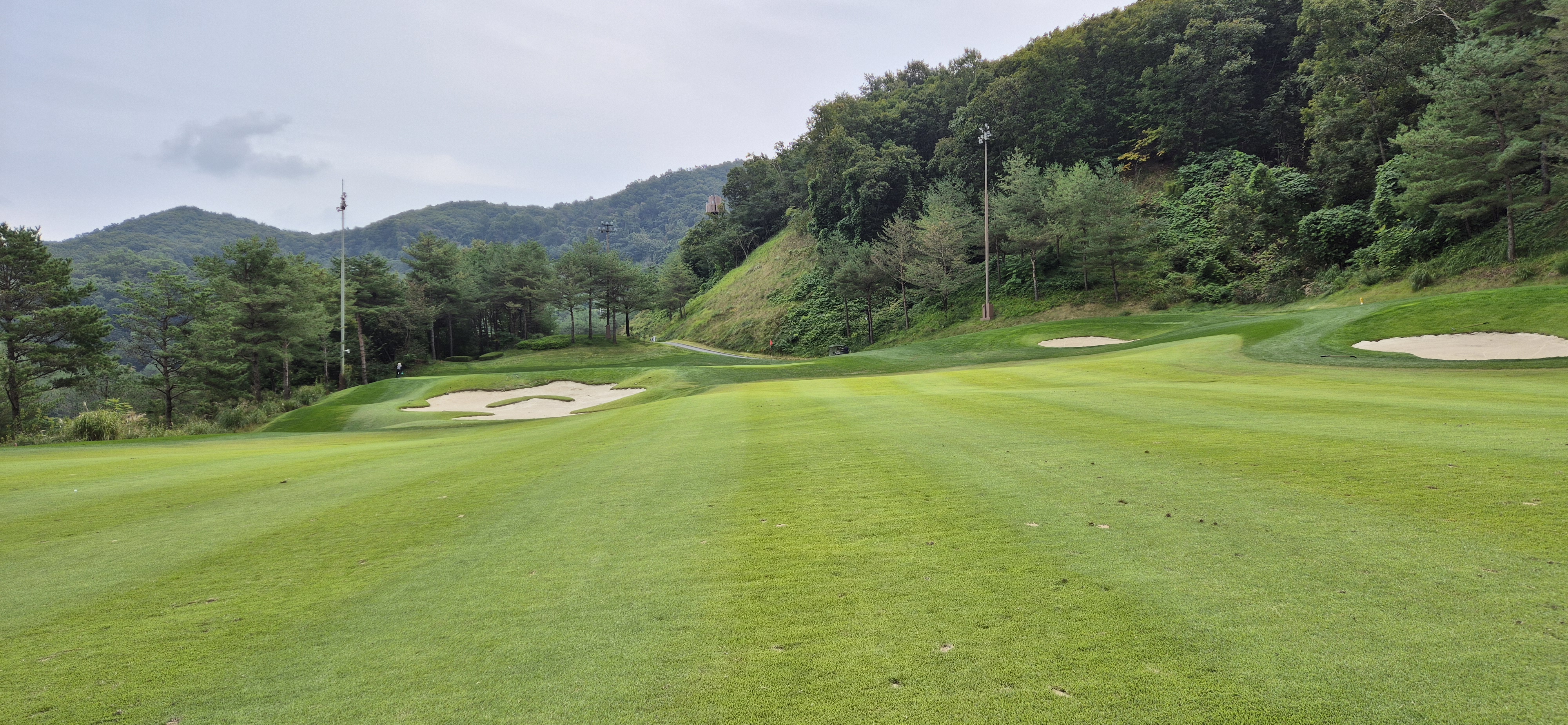 소노펠리체cc이스트