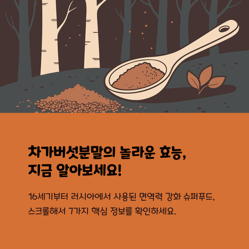 차가버섯분말의 모든 것: 효능부터 섭취방법까지 완벽 가이드