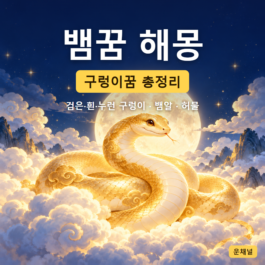 뱀꿈 해몽 구렁이꿈 총정리 썸네일