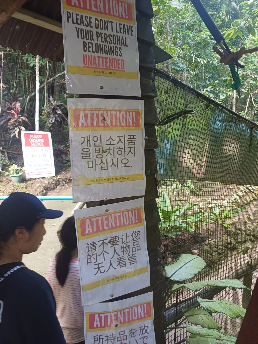 보홀 안경원숭이 보호구역 방문후기 - 보홀 아이와 가볼 만한 곳 추천