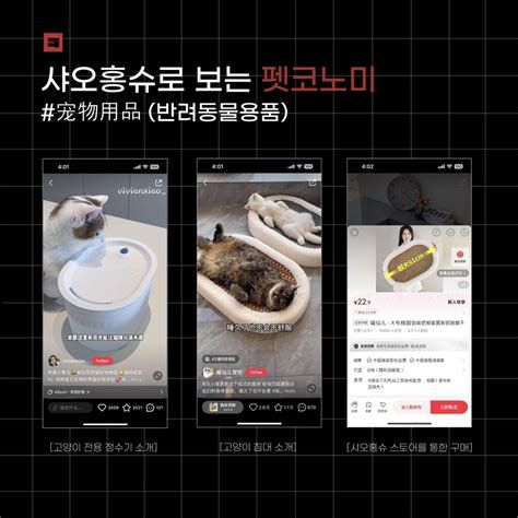 중국 마케팅 대 행사