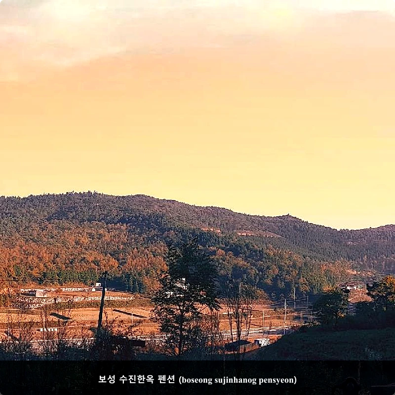 보성 수진한옥 펜션 (boseong sujinhanog pensyeon)_4