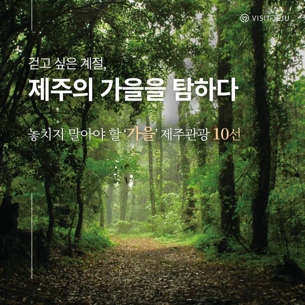 제주 9월 축제