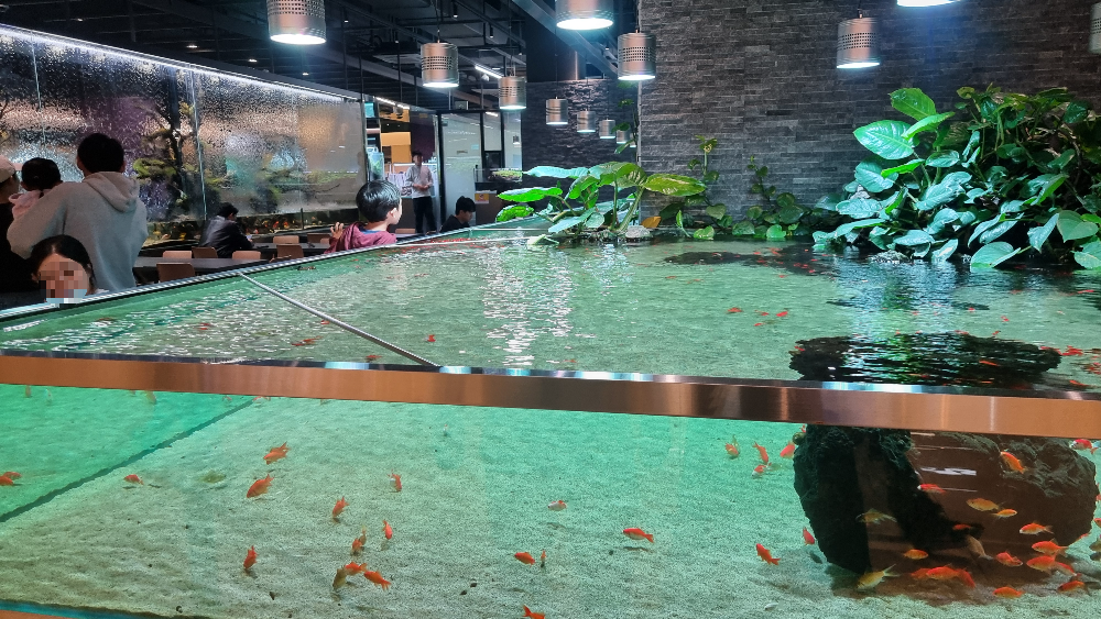 아쿠아가든카페 어항 물고기