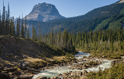 한국의 전통 예절 문화, 일상 속에 잊힌 존중의 가치 되살리기