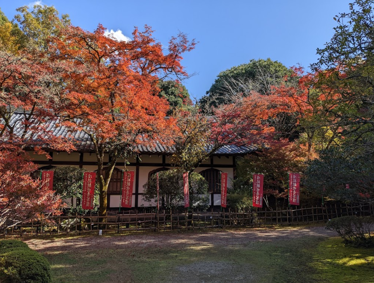 오사카 자유여행 추천 : 오사카 여행 추천 코스