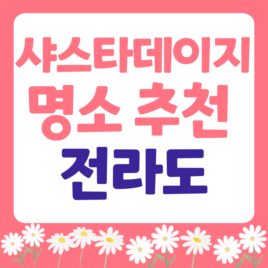 전라도 샤스타데이지 명소