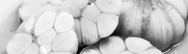 밀봉한 뒤 냉장고 10일