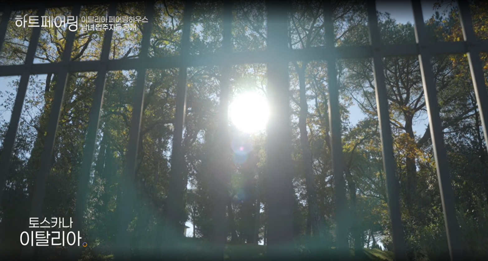 하트페어링 다시보기