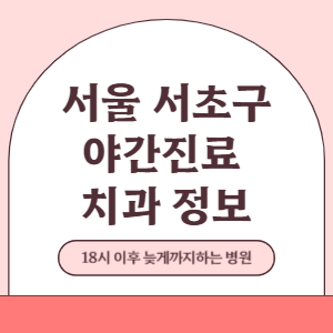 서울 서초구 야간진료 치과 병원 (18시 이후 늦게까지하는 병원)