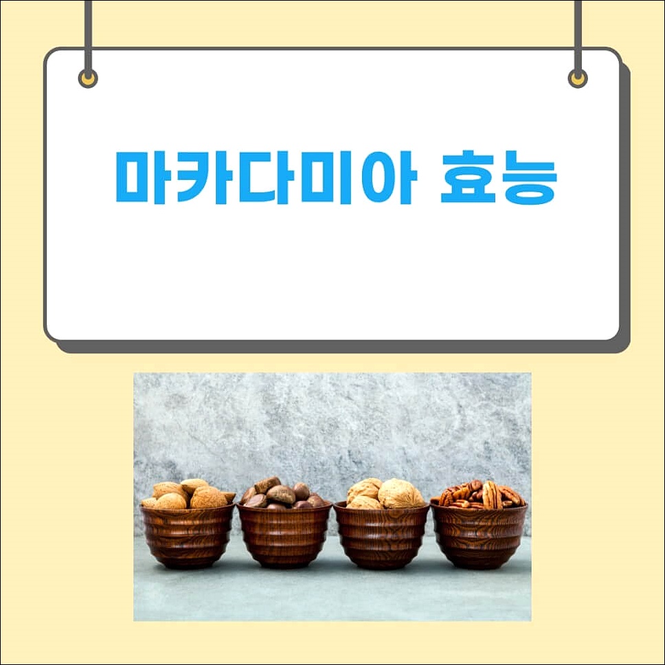 마카다미아 효능