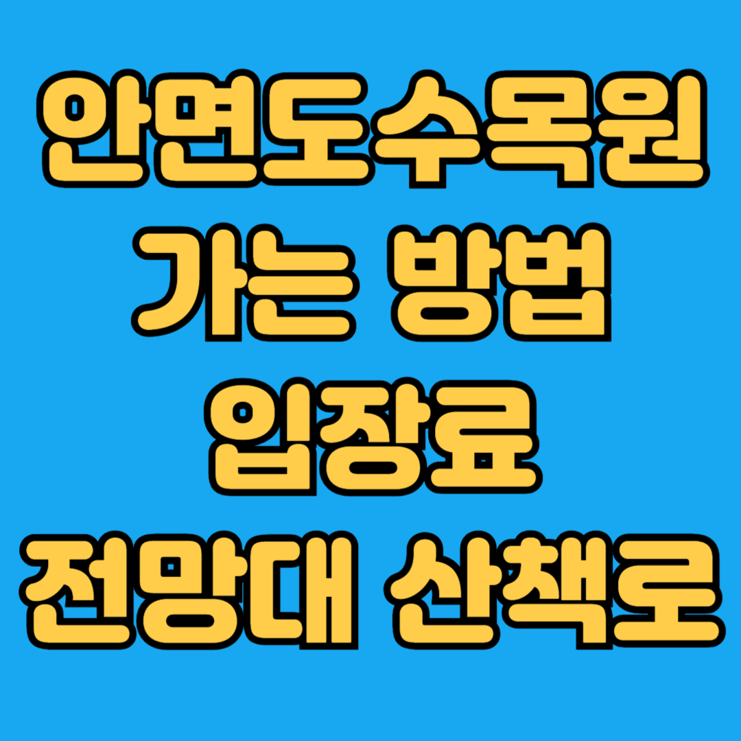 안면도수목원 가는방법 입장료 전망대 산책로