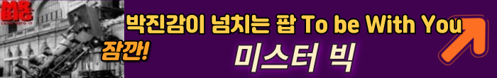 미스터 빅