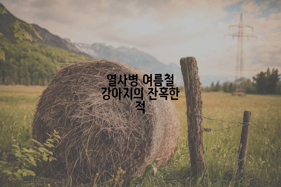 열사병 여름철 강아지의 잔혹한 적