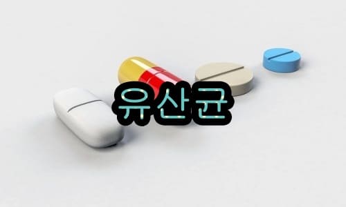 음식물 소화불량