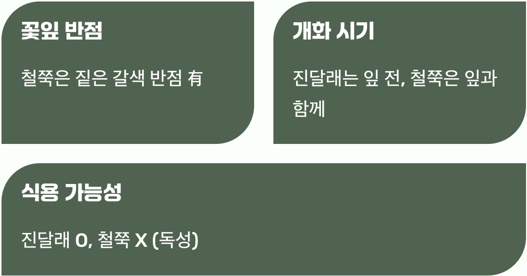 진달래와 철쭉, 닮았지만 다른 이야기