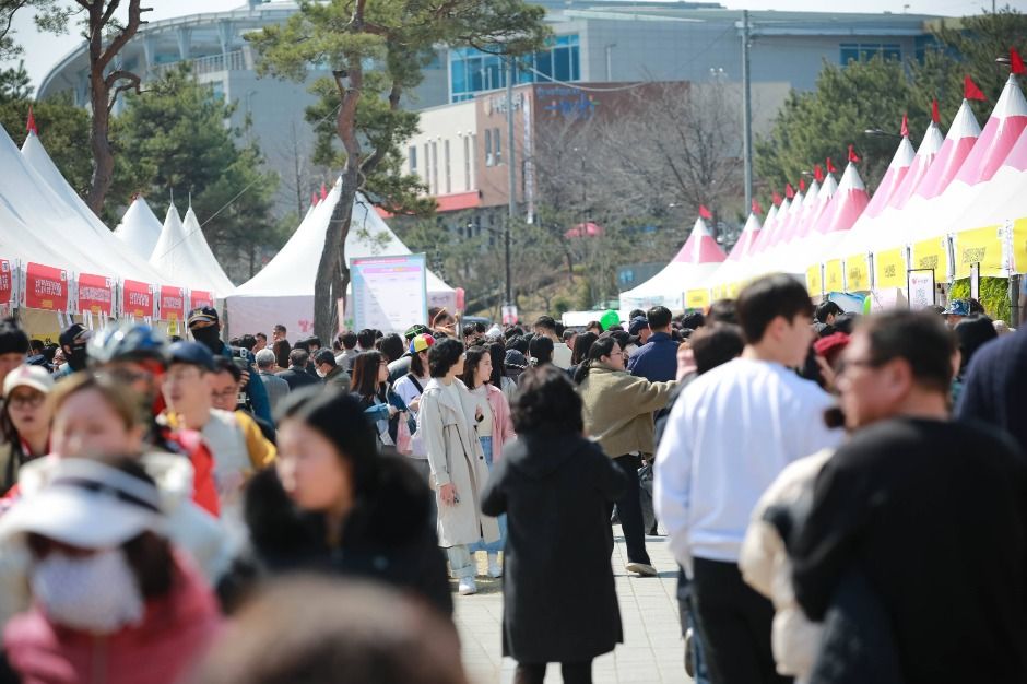 논산딸기축제