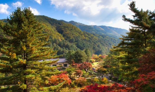 가평 가볼만한곳 BEST 7