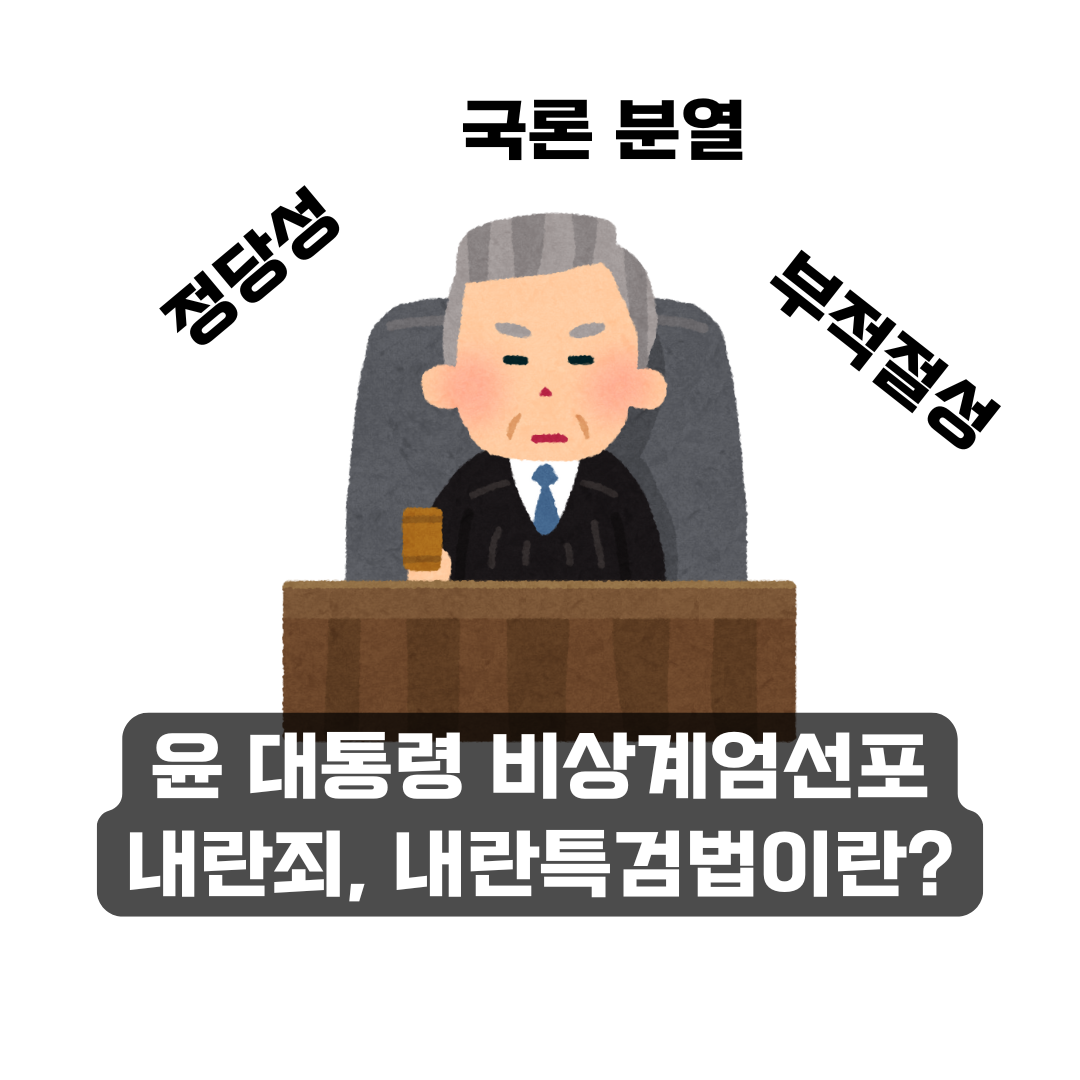 윤 대통령 비상계엄선포와 내란죄 논란