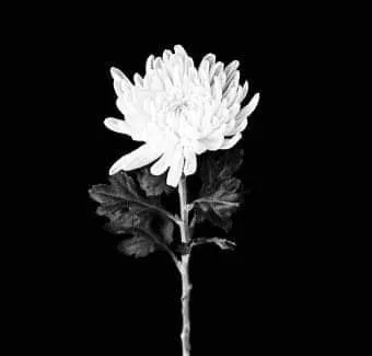 삼가고인의명복을빕니다의 뜻과 띄어쓰기 한문 표기_11