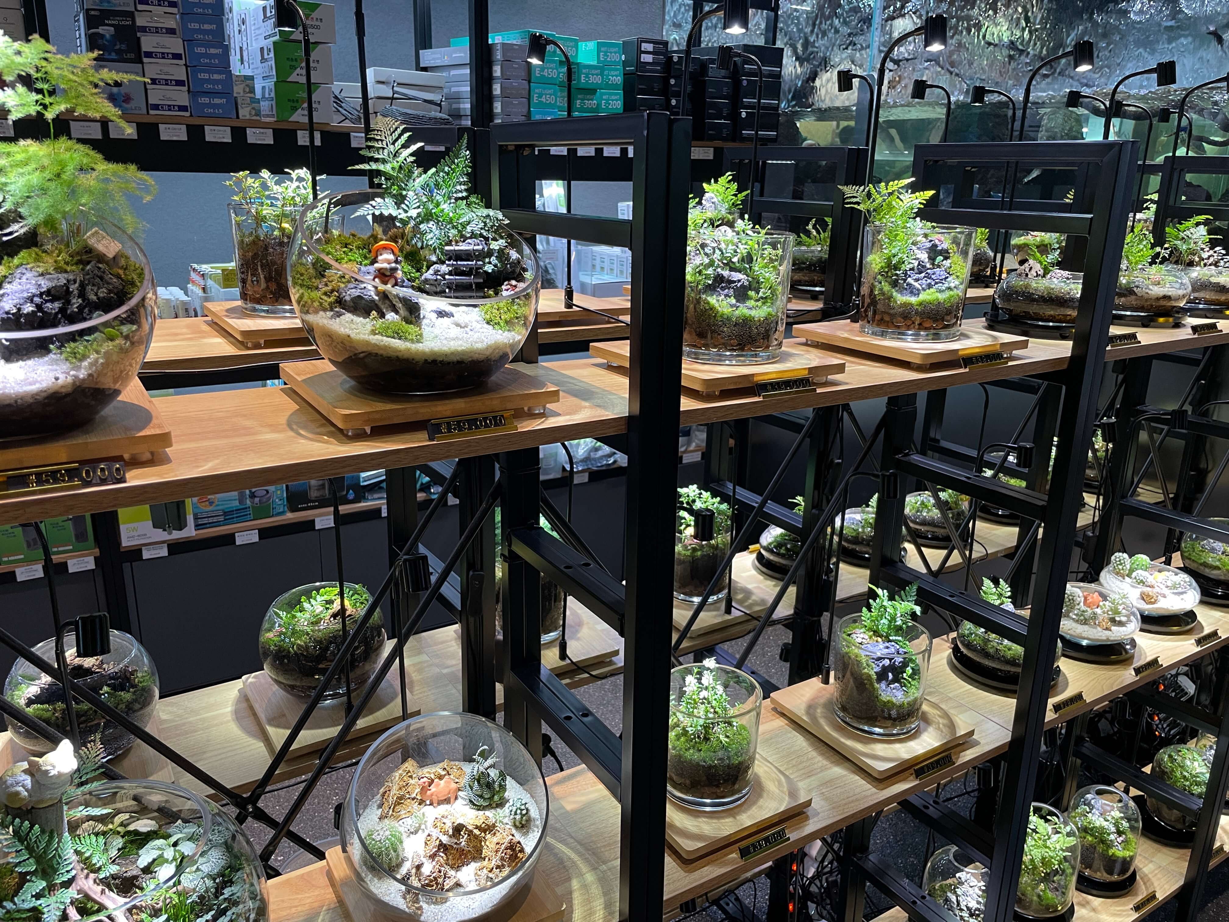 잠심-아쿠아가든