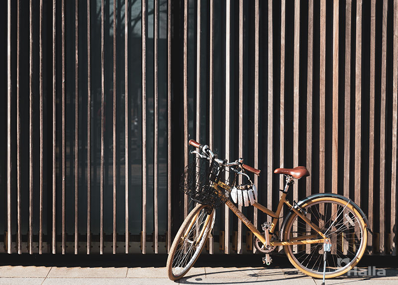 최은숙 프로의 자전거. 검정색 바구니와 갈색 안장이 눈에 띈다.