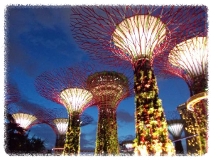 슈퍼트리 그로브