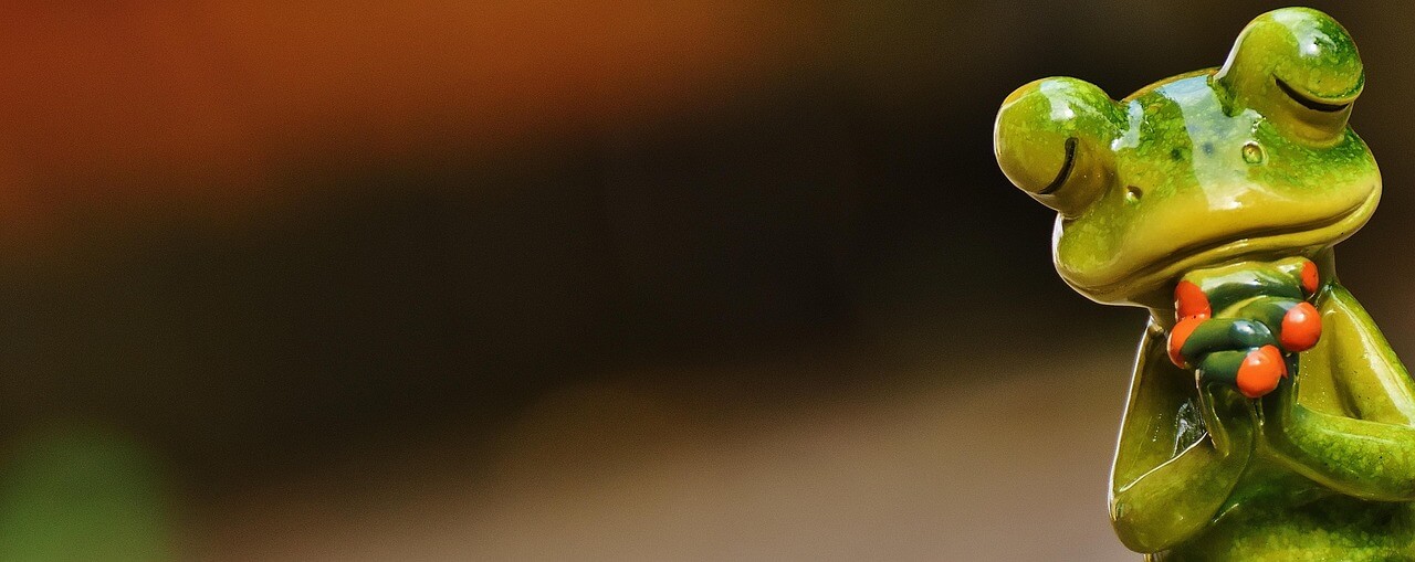 AWS vs CCNA 비교 총정리