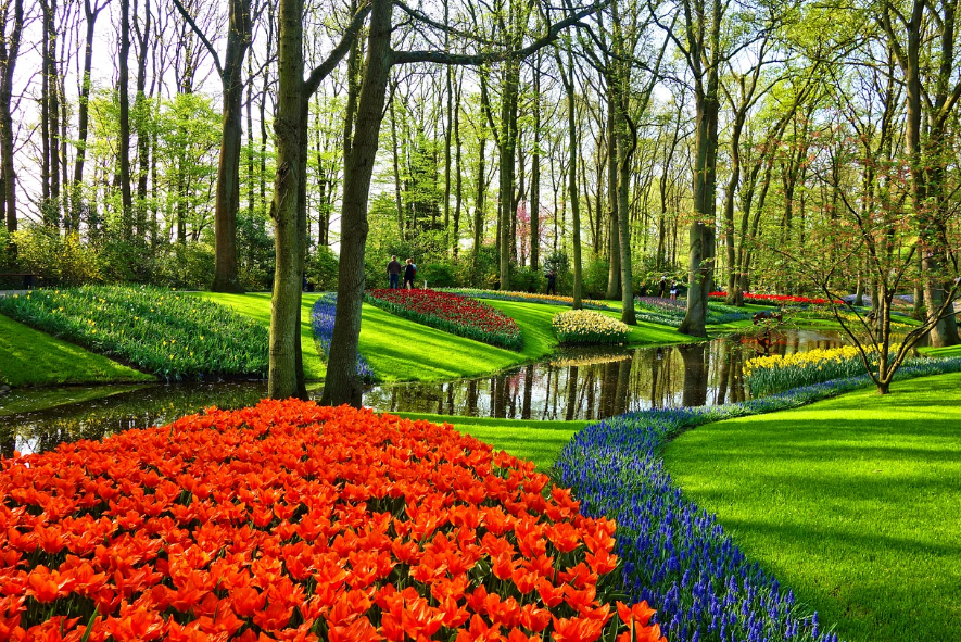 세종 베어트리파크 철쭉제