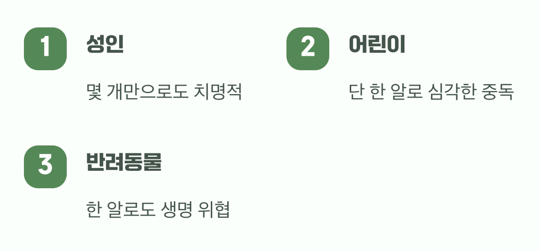 한 알이라도 괜찮을까?