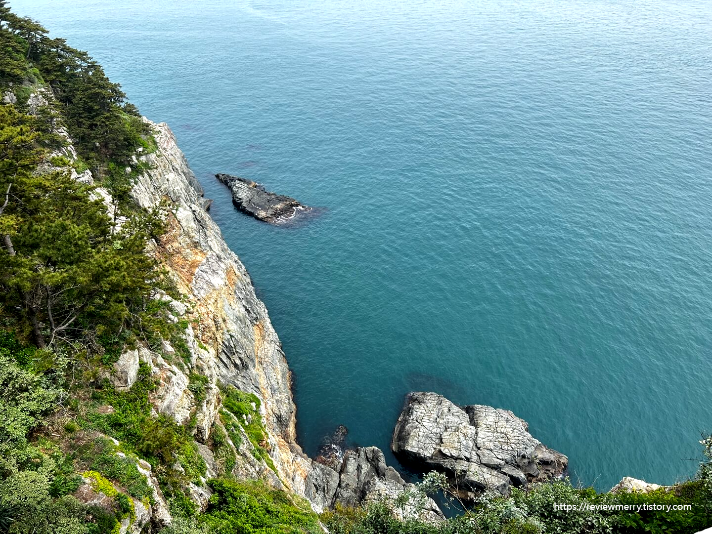 전망대에서 본 뷰