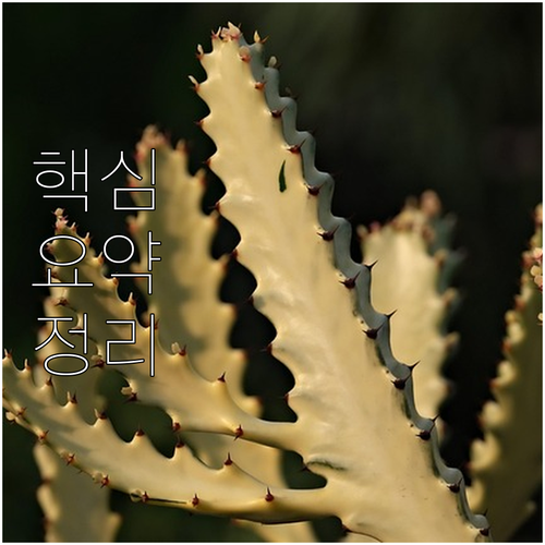 경기도 자동차 종합검사 만료일? 과태..