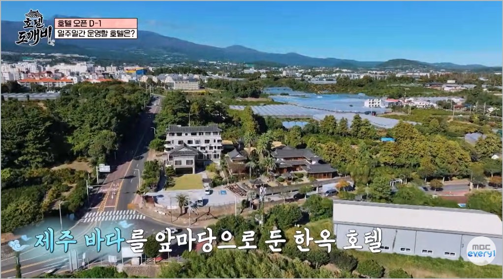 호텔 도깨비 기본정보 출연진 고두심 도깨비 군단 케미 첫방송 정보